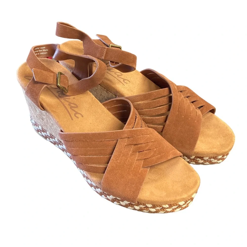 Zodiac Platform Wedges